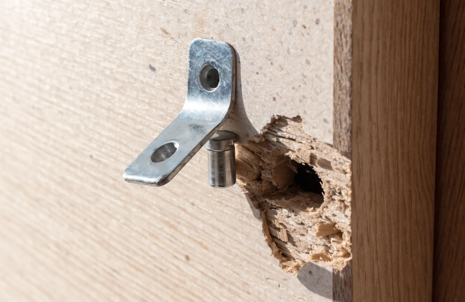 The inside edge of a cabinet door where a hinge plate has pulled loose, showing the enlarged screw hole in the particleboard