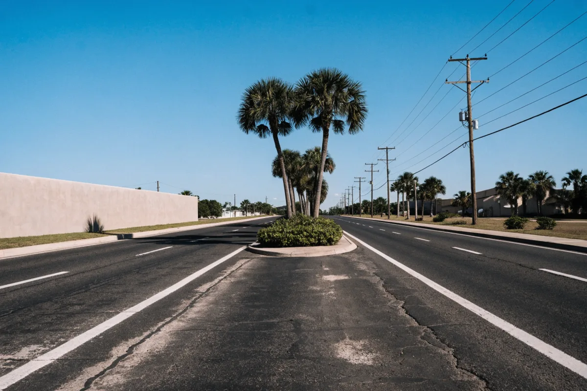 South University Drive heading south in Davie, four lanes with a planted median, cabbage palms and a low commercial wall along the curb