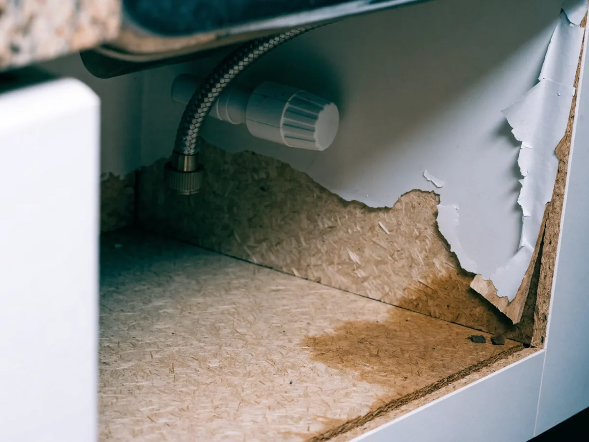 Water damage in a sink base cabinet near Pine Island Ridge in Davie: the particleboard bottom swollen and the melamine lifting at an unsealed edge