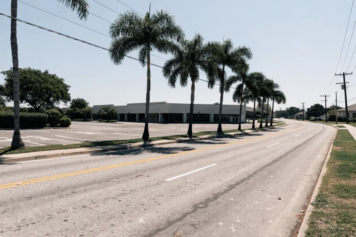 The commercial corner on Pine Island Road in Davie, cabbage palms along the curb, where the route east toward Griffin Road begins