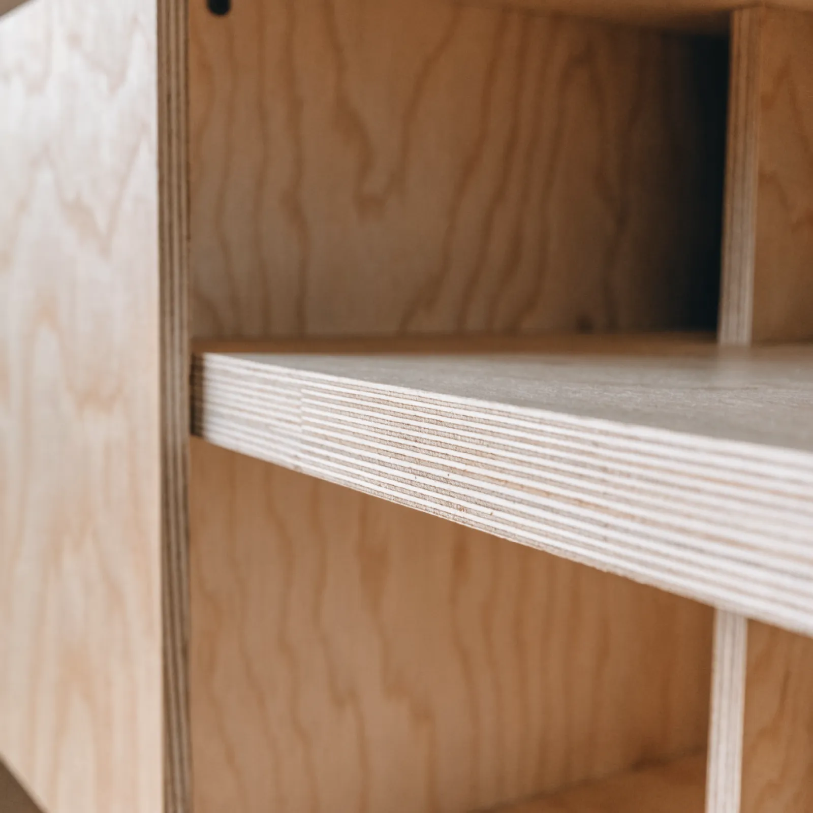 The inside of a plywood cabinet box, the layers of the panel reading at the cut edge of the shelf