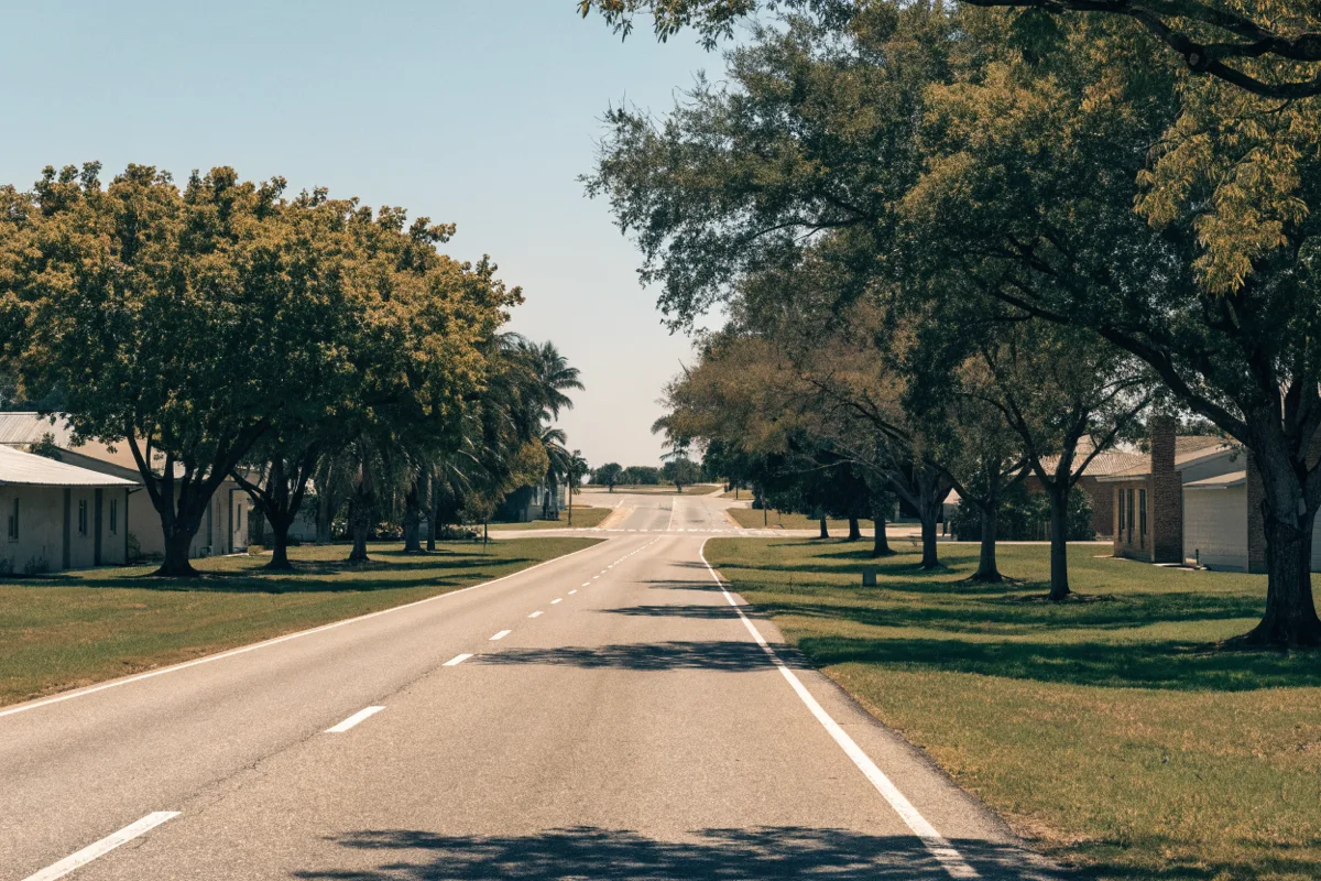 The two lane stretch of Davie Road heading south out of old Davie under mature trees, toward the Griffin Road turn
