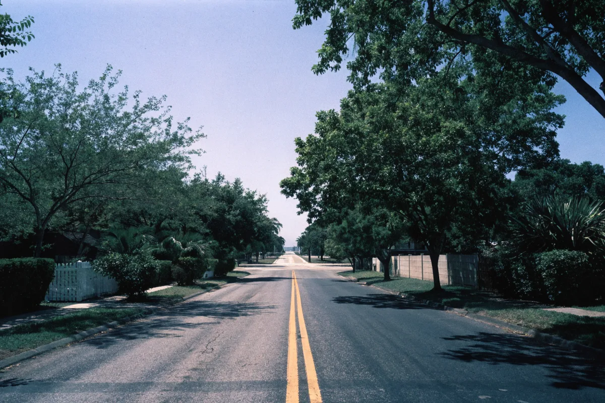 South Flamingo Road in Davie heading south under mature trees toward the Griffin Road intersection